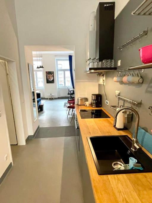 Klimatisierte Sehr Zentrale Wohnung-Loftstyle- Виена Екстериор снимка